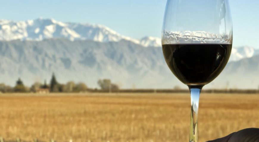Mendoza wine